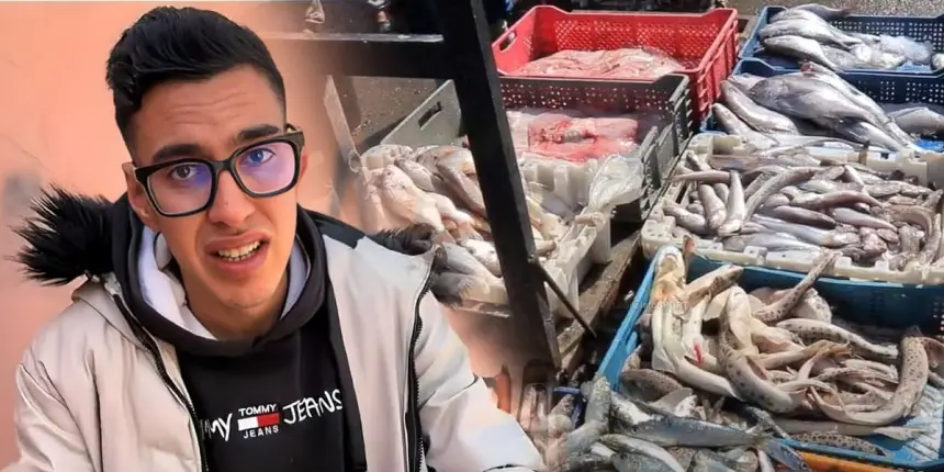 برلماني يثير مضاربات أسواق الأسماك ويشيد بمبادرة "مول الحوت"