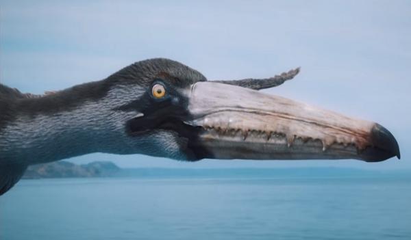 من قتل الطيور العملاقة التي عاشت على كوكب الأرض؟