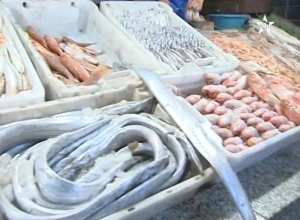 تنبيه: وزارة الفلاحة تمنع استهلاك هذه المنتوجات البحرية الشمالية بسبب ارتفاع نسبة التلوث