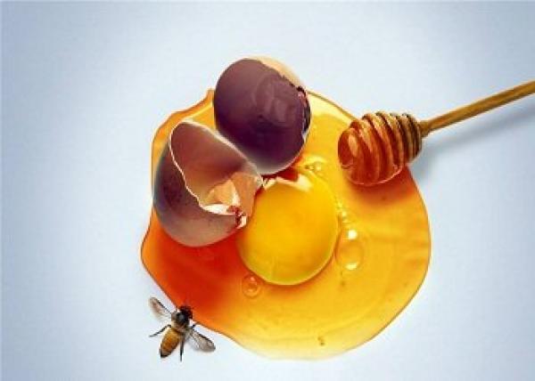 البيض والعسل للتخلُّص من تقصُّف الشَّعر