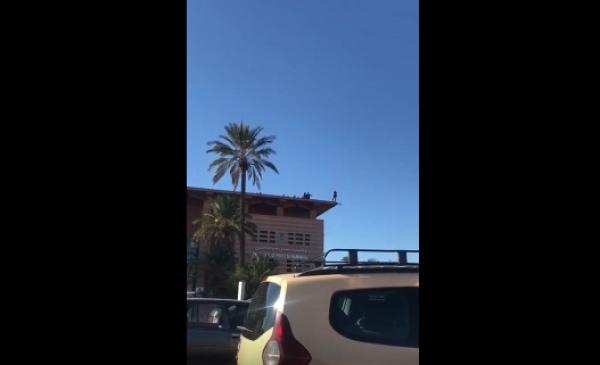 عاجل بالفيديو... شرطي يحاول الانتحار من فوق بناية ولاية الأمن والمسؤولون يسارعون الزمن لإقناعه