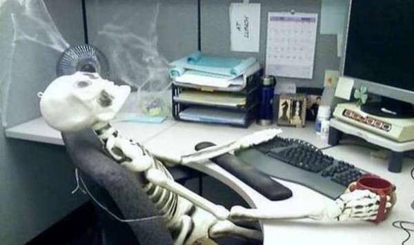 الحكومة تحارب ظاهرة الموظفين الأشباح بإجراءات جديدة