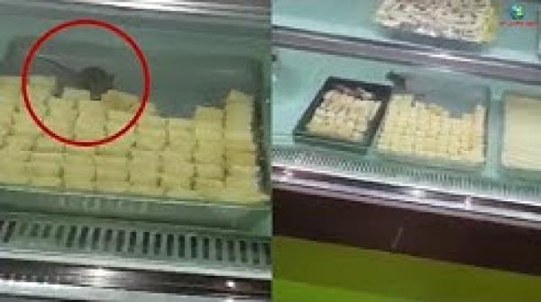 ردو البال آش كتاكلو.. فار كياكل بقلاوة فالباتيسري