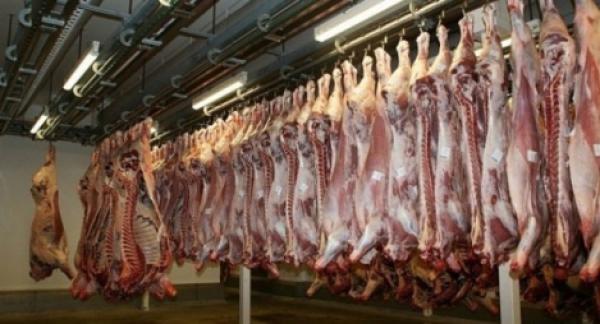 فتح المجازر الجماعية بمدن جهة الشمال مجانا لنحر أضاحي العيد