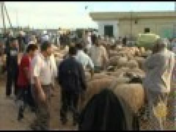 الليبيون يستعدون لأول عيد أضحى بعد الثورة 