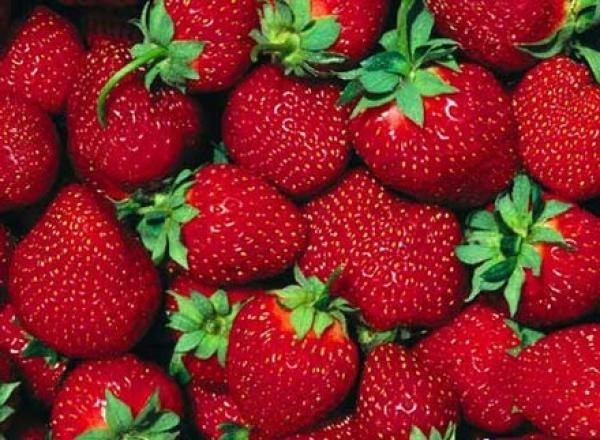 الفراولة والعنب تحد من خطر الضعف الجنسى