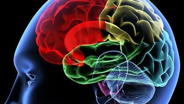 هل تعلم ان الحكمة تزداد مع التقدم في السن