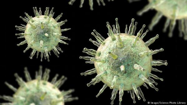 نجاح باحثين ألمان في العثور على لقاح ضد فيروس خطير يسبب السرطان