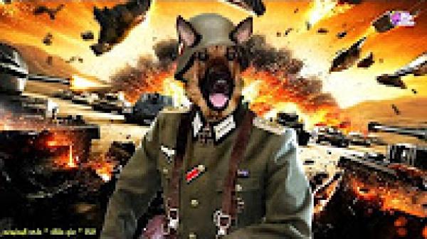 أغبي 10 حروب فى التاريخ ... أسباب مضحكة و تافهة