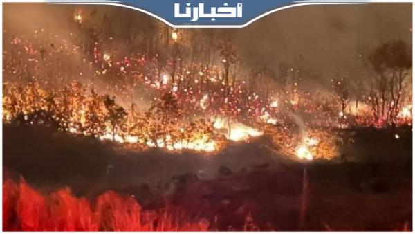 النيران تنتشر بغابة تليوان ضواحي شفشاون