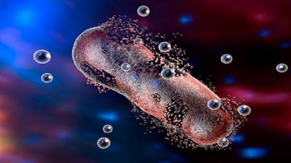 تحذير من بكتيريا خارقة خطرها يفوق السرطان والسكري!