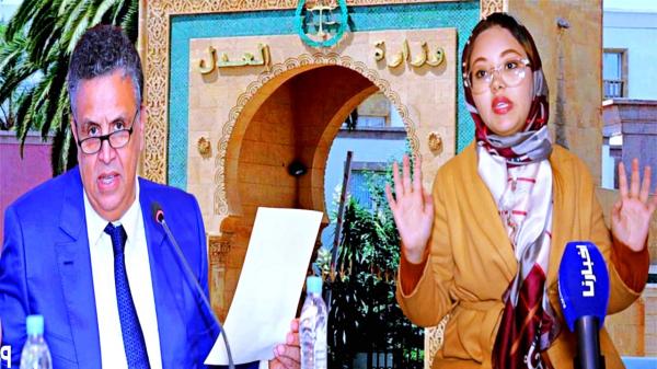 بالفيديو.. طالبة "راسبة" بامتحان "المحاماة" تفجر حقائق جديدة في وجه "وهبي" وتطالب بتدخل النيابة العامة