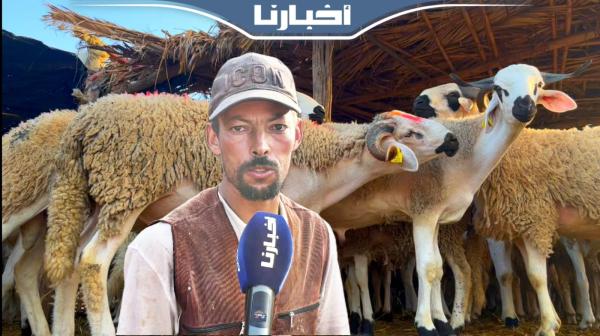 كساب: الخير موجود والأضاحي المستوردة خرجات علينا