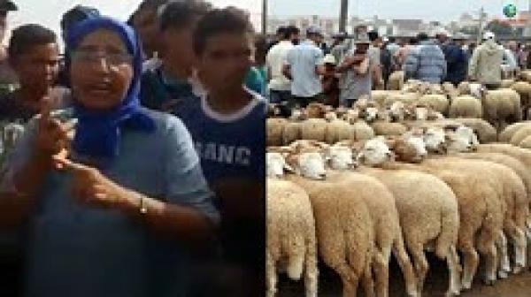 سيدة تتفاجأ بتحويل أرضها إلى رحبة لبيع الغنم بجماعة سيدي يحيى زعير