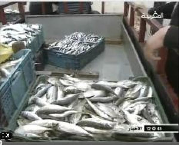 ارتفاع أسعار السمك بالحسيمة 