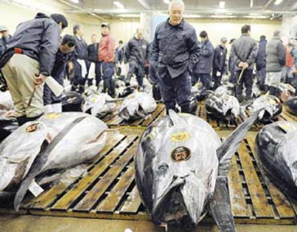 إصابة رجل أمن بعد اقتحام أشخاص لسوق الجملة بمكناس