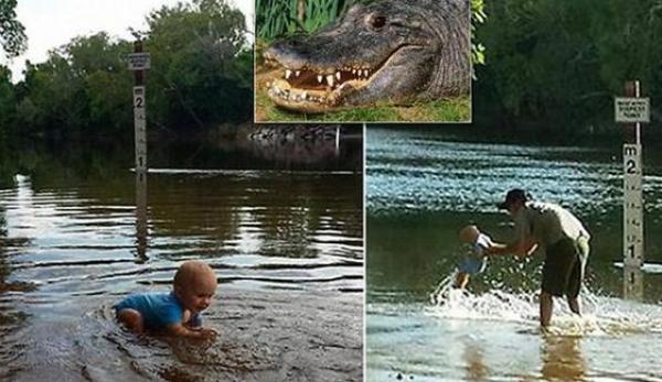 والدان يعلمان رضيعهما السباحة في مستنقع للتماسيح