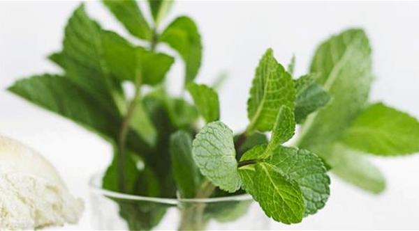 7 وسائل طبيعية تخلصك نهائيا من الرائحة الكريهة للفم