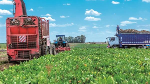 بشائر موسم فلاحي جيد هذه السنة بالمغرب