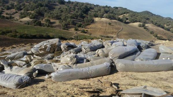 القصر الكبير .. ضبط 430 كلغ من مخدر ورق الكيف وحوالي 43 كلغ من مادة "طابا"