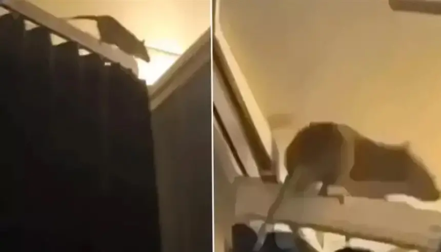 صورة تعبيرية من الارشيف