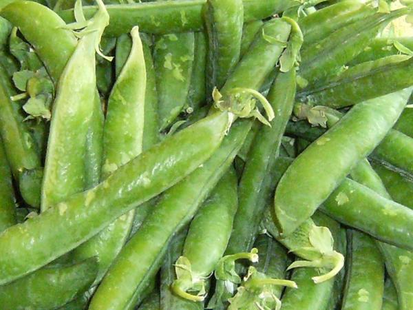 "الجلبان" ضروري للوقاية من سرطان المعدة