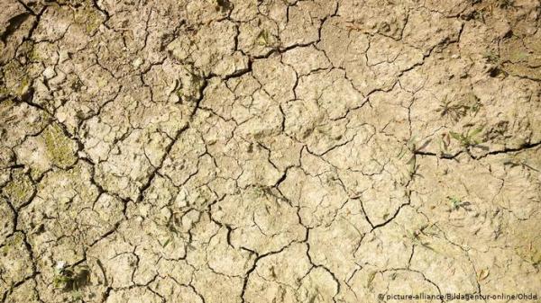 ألمانيا: مخاوف من موسم جفاف جديد واندلاع حرائق كبيرة