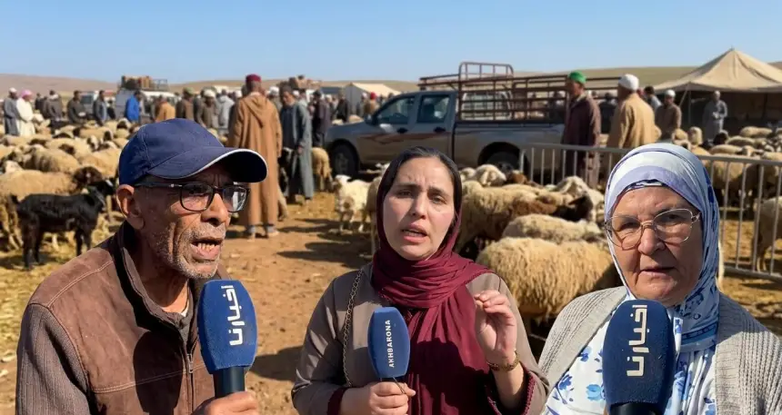 مبقيناش معيدين.. مواطنون يعبرون عن غضبهم بعد سيطرة الشناقة على أسواق الاضاحي: العيد ديالنا عند الله