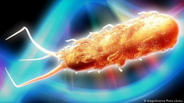 فيروسات تنقذ حياة طفلة!