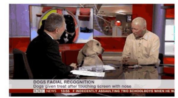 محطة "بي بي سي" تحاور كلباً