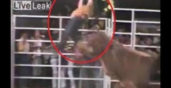 بالفيديو.. ثور هائج يتسبب في طيران رجل في الهواء مرتين