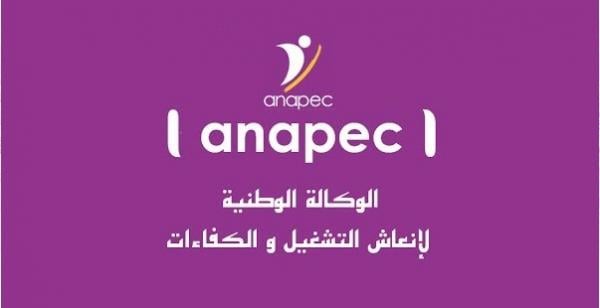 خاص: توظيفات مشبوهة..هدر للمال العام..وقيادات حزبية تتلقى رواتب خيالية بـ"لانابيك"