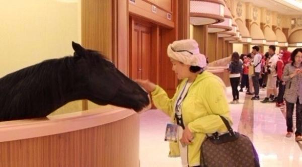 بالصور: شاهد أفخم اصطبل للخيول في العالم