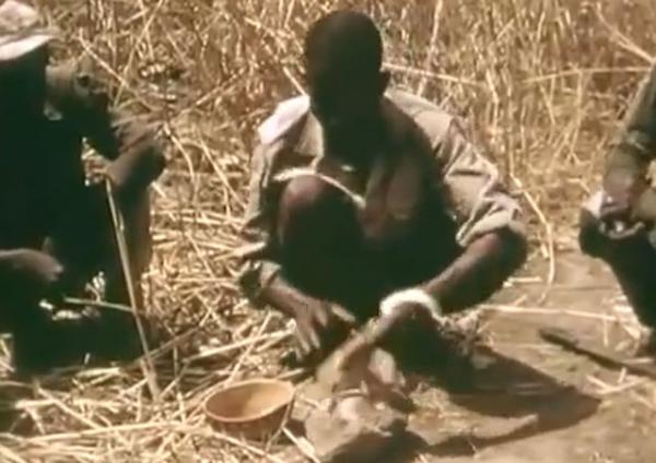 شاهد..أغرب طريقة لاصطياد الثعابين