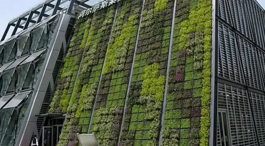 مستوحاة من جنائن بابل المعلقة.. ما هي الزراعة العمودية؟