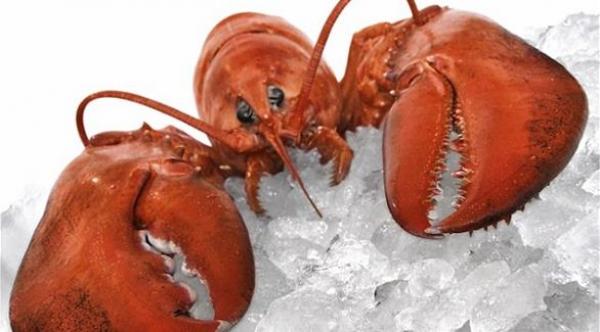 علماء سويسريون يكتشفون سر الشباب