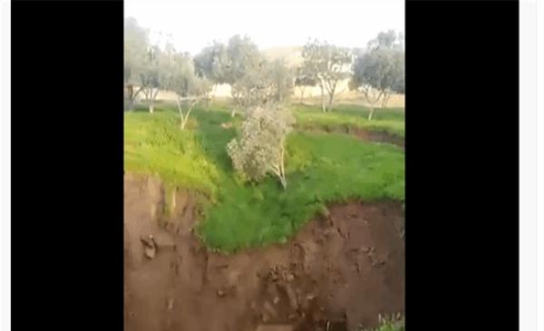 الأرض تبتلع التربة والنباتات في سوريا في مشهد غريب(فيديو)