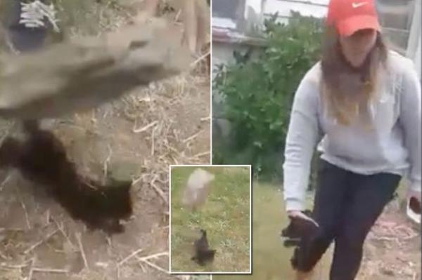 فتاة تعاقب قطتها برجمها بالحجارة