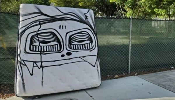 فنان أمريكي يقوم بتحويل القمامة إلى أعمال فنية مدهشة