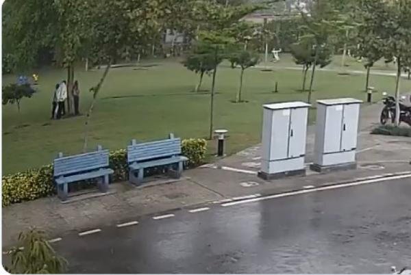 بالفيديو..البرق يصعق 4 من موظفى البستنة فى إحدى الحدائق بالهند