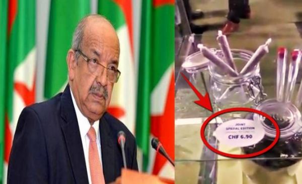 مغربي يرد على الجزائري مساهل: ها هي " الزطلة " كتباع بالعلالي في سويسرا ( الفيديو )