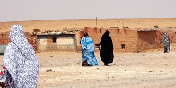 منظمة دولية : الجزائر لا تزال تغطي عن الجرائم التي ارتكبتها جبهة البوليساريو في المخيمات