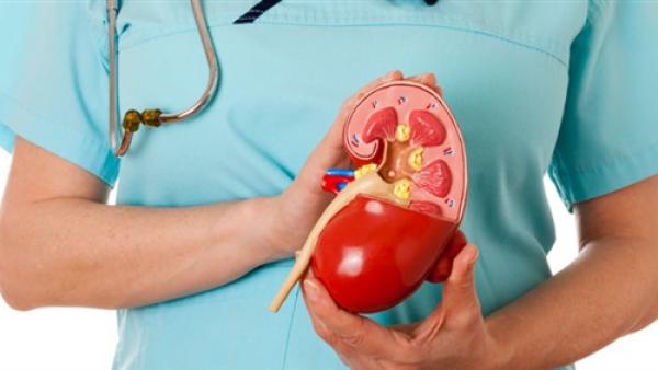 5 نصائح يجب اتباعها قبل صيام رمضان حفاظا على صحة الكلى