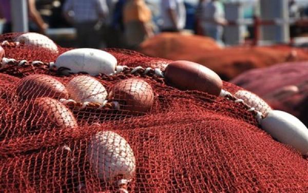 استئناف صيد الرخويات ابتداء من فاتح يونيو المقبل برسم صيف 2013