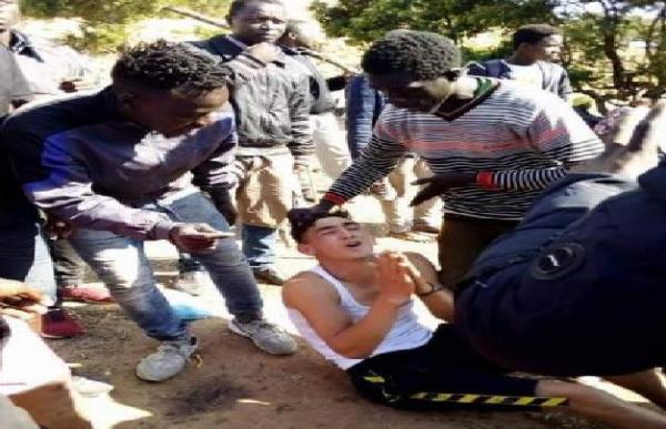 بعد الجدل الذي أثارته الصورة...تفاصيل وقوع شاب طنجاوي بين يدي عشرات المهاجرين السريين داخل غابة بطنجة