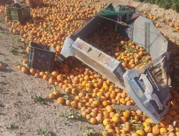 في أول أيام رمضان..إنفصال رأس شخص عن جسده في حادثة صادمة بوجدة