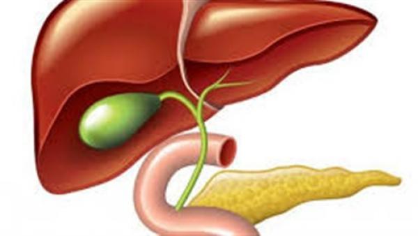 وصفة طبيعية للتخلص من دهون الكبد