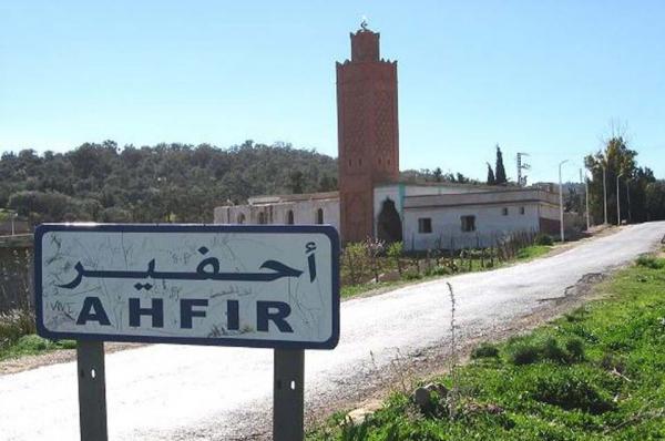 إحباط عملية تهريب طن من البرتقال المغربي نحو الجزائر  