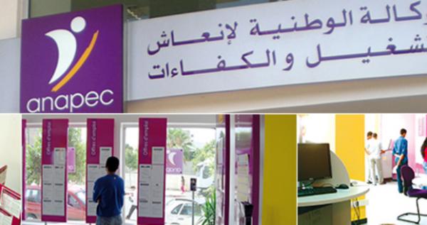 مخطط جديد لـ "ANAPEC" يسعى الى تشغيل 445 ألف شاب مغربي في أفق 2020