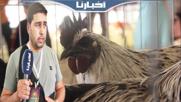 طيور غريبة تزين فضاء المعرض الاقتصادي والاجتماعي بوجدة